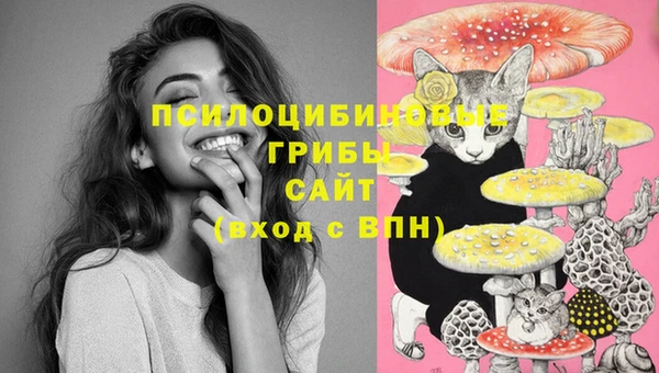 jwh Белокуриха