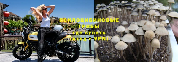 jwh Белокуриха