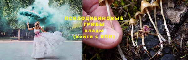 первитин Белоозёрский