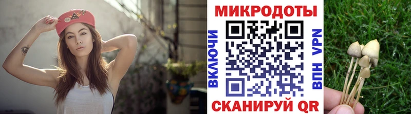 Галлюциногенные грибы прущие грибы Буйнакск