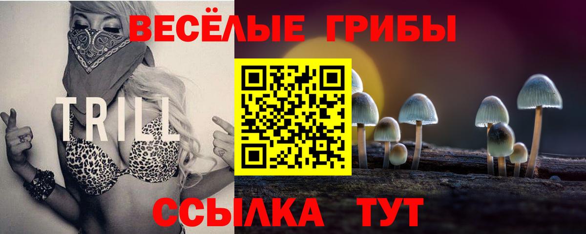 Псилоцибиновые грибы мухоморы Буйнакск
